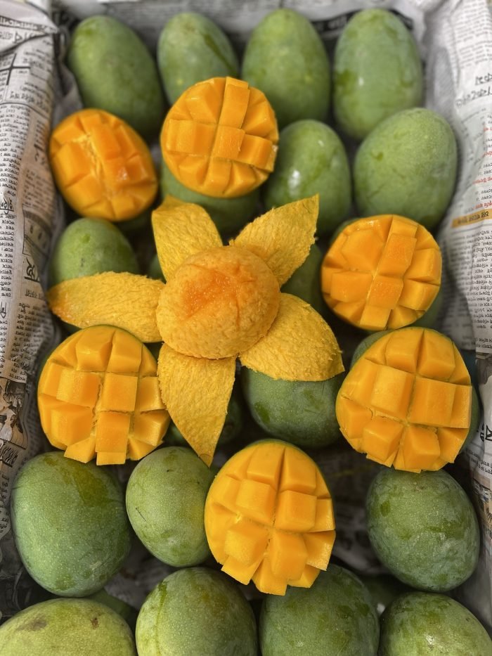 সাতক্ষীরার হিমসাগর আম।Himsagor