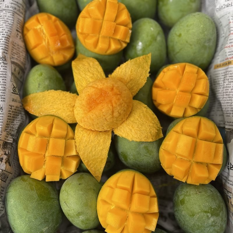 সাতক্ষীরার হিমসাগর আম।Himsagor