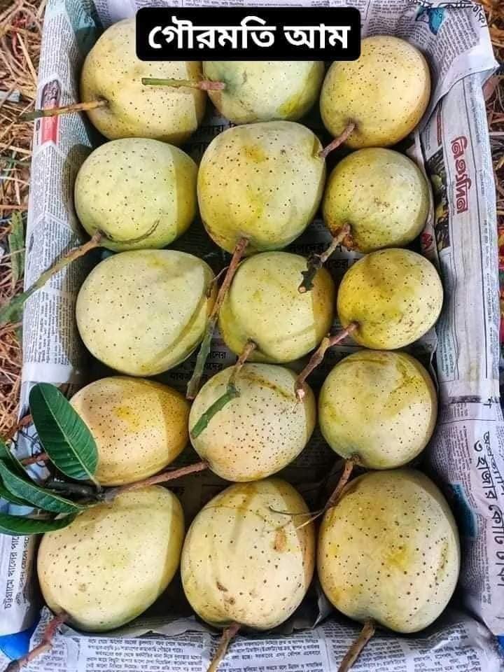 489999954_2778061309065304_3086937693751337743_n