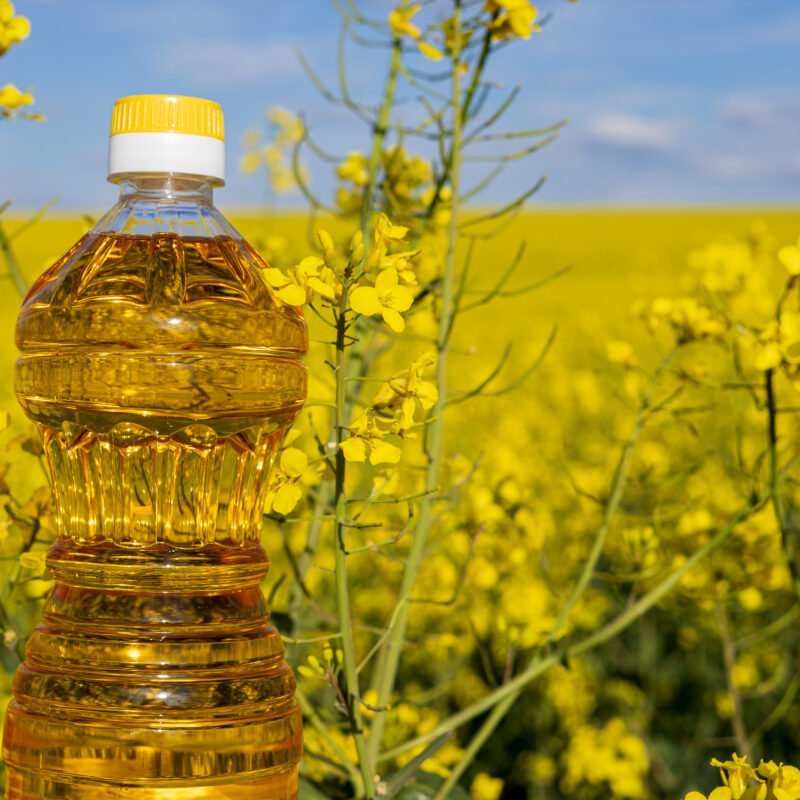 দেশি সরিষা তেল (Deshi Mustard Oil)