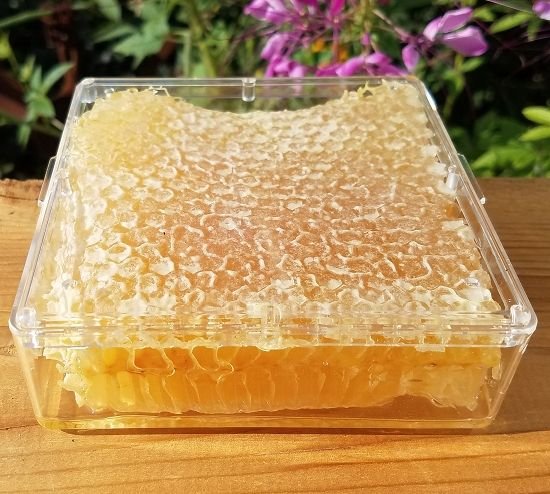Honey 03 Natural Honeycomb- 500gm